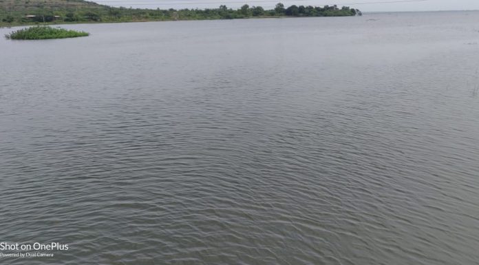 उजनी धरण 100 टक्के भरल्याने शेतकऱ्यांच्या चेहऱ्यावर फुलले हसू