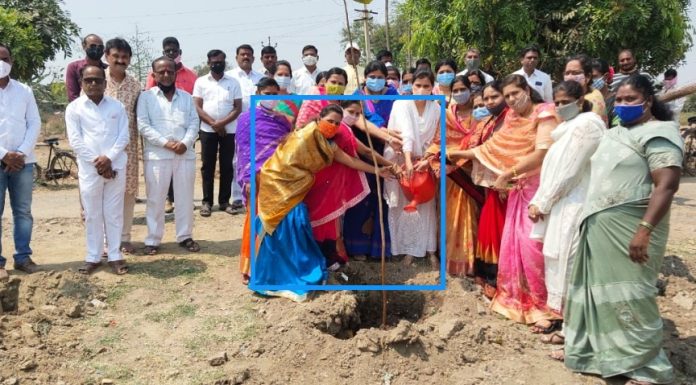 भिगवण येथील स्मशानभूमीत आगळा वेगळा उपक्रम ; जिल्हा परिषद सदस्या अंकिता पाटील यांनी वृक्षारोपण करीत साजरा केला महिला दिन