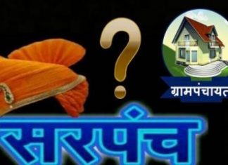 शासकीय जागेत अतिक्रमण करणं भादलवाडीच्या सरपंचाला पडलं महागात ; ४ गुंठे जागेसाठी पदावरून व्हावं लागलं पायउतार