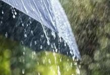 भिगवण परिसरात चालू हंगामातील 505 मिलिमिटर पावसाची नोंद ; समाधानकारक पाऊस आणि उजनीच्या शंभरी मुळे सुखावला बळीराजा..