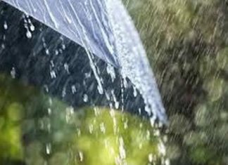 भिगवण परिसरात चालू हंगामातील 505 मिलिमिटर पावसाची नोंद ; समाधानकारक पाऊस आणि उजनीच्या शंभरी मुळे सुखावला बळीराजा..