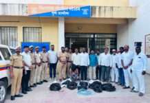 भिगवण पोलिसांची दमदार कामगिरी: शेतीपंपांच्या केबल चोरी करणाऱ्या अट्टल चोरट्याला ठोकल्या बेड्या; १८ शेतकऱ्यांचा ₹१.७६ लाखांचा मुद्देमाल हस्तगत